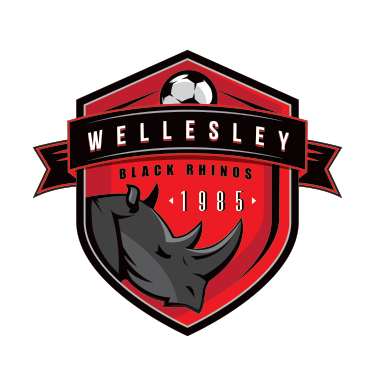 wellesley soccer soccer badge